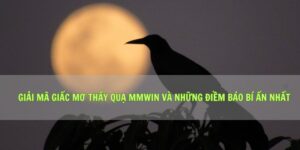 Giải Mã Giấc Mơ Thấy Quạ Mmwin Và Những Điềm Báo Bí Ẩn Nhất