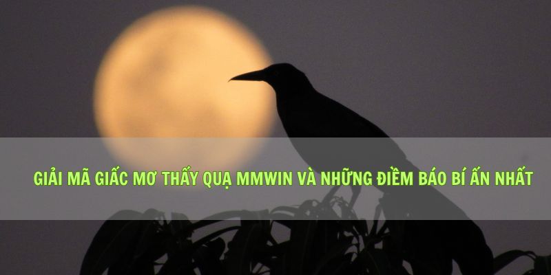 Giải Mã Giấc Mơ Thấy Quạ Mmwin Và Những Điềm Báo Bí Ẩn Nhất